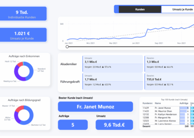 PedalOasis Power BI Dashboard kundenspezifische Auswertungen